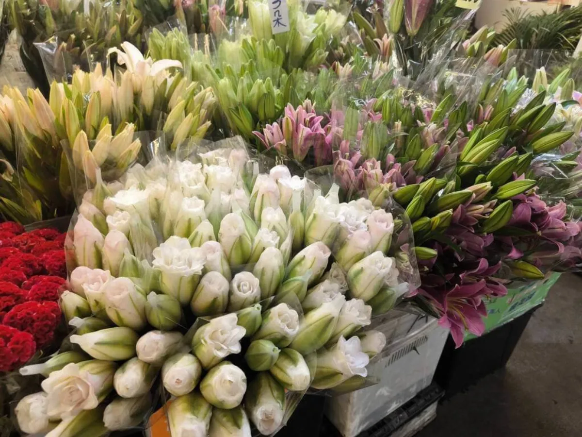 清明節前天冷量減 掃墓花款百合、菊花價漲